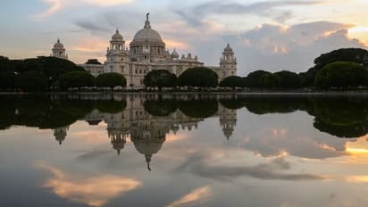 দু'টি অরণ্য পাচ্ছে কলকাতা, ফিরবে পাখি, কতটা কমবে দূষণ