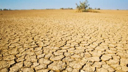 ২০৫০-এই কী মানব সভ্যতার শেষ, কী বলছে গবেষণা