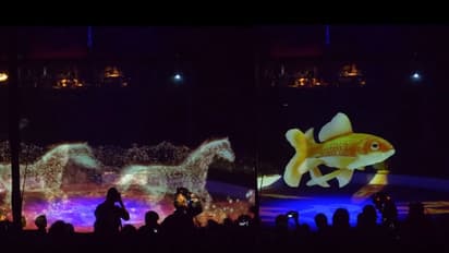 ജീവനില്ലാതെ, കുതിച്ചെത്തിയ ആനയും കുതിരയും സിംഹവും...; അത്ഭുതക്കാഴ്ച്ച ഒരുക്കി സർക്കസ് കമ്പനി-വീഡിയോ