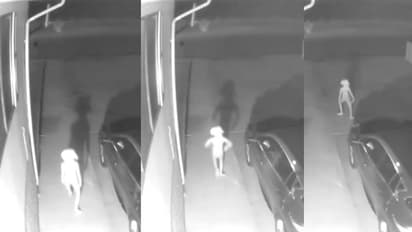 നീണ്ട ചെവികളും വളഞ്ഞ കാലുകളും; സിസിടിവിയിൽ പതിഞ്ഞത് അന്യഗ്രഹ ജീവിയോ?: വീഡിയോ വൈറൽ