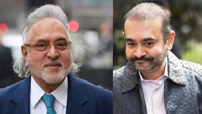 ಮುಂಬೈ ಜೈಲಲ್ಲಿ ಮಲ್ಯ, ನಿಮೋ ರೂಂಮೇಟ್ಸ್?