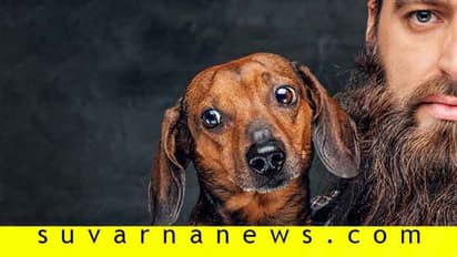 ಗಡ್ಡ ವಿರೋಧಿಗಳಿಗೊಂದು ಸಂತಸದ ಸುದ್ದಿ, ಗಡ್ಡಧಾರಿಗಳಿಗೋ ಆತಂಕ