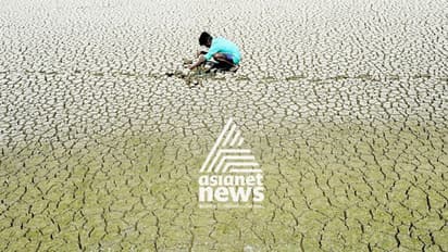 ಜಿಲ್ಲೆಯಲ್ಲಿ ಹೆಚ್ಚಿನ ಮಳೆ ಕೊರತೆ : ಬೆಳೆ ಒಣಗುವ ಭೀತಿಯಲ್ಲಿ ರೈತ