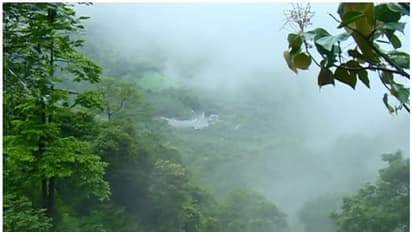 4 ದಿನ ಮಲೆನಾಡು, ಕರಾವಳಿ ಜಿಲ್ಲೆಗಳಲ್ಲಿ ಭಾರಿ ಮಳೆ