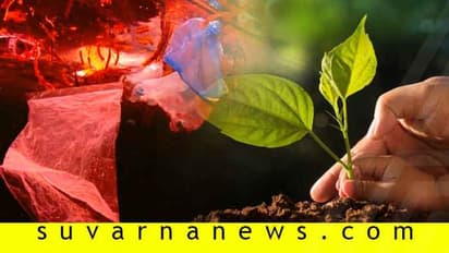 ದಿನಬಳಕೆಯ ಈ ವಸ್ತುಗೆ ಬೈ ಹೇಳಿ, ಬದಲಿ ಏನು ಬಳಸ್ಬೇಕು ಹೇಳ್ತೀವಿ ಇಲ್ ಕೇಳಿ