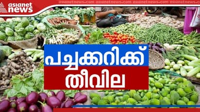 Vegetable Price : പച്ചക്കറി വില റെക്കോർഡിൽ; പച്ചക്കറി കിട്ടാനില്ലെന്ന് വ്യാപാരികൾ, സപ്ലൈകോയും വില കൂട്ടി