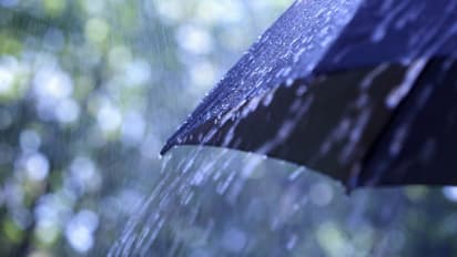 ರಾಜ್ಯದಲ್ಲಿ ಮುಂದುವರಿದ ಭಾರಿ ಮಳೆ : ಸಂಪರ್ಕ ಕಡಿದುಕೊಂಡ 6 ಸೇತುವೆ