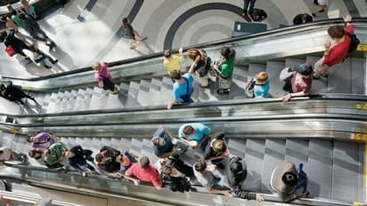 യുഎഇയിലെ മാളില്‍ വെച്ച് സ്ത്രീയുടെ ബാഗ് മോഷ്ടിച്ച പ്രവാസി വനിത അറസ്റ്റില്‍