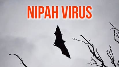 Puducherry Nipah suspect still critical; epidemiologists list out people who came in contact with patient