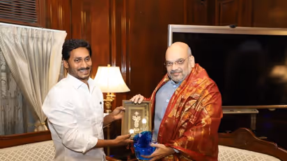 Jagan requests Shah to soften PM Modi's heart on Andhra Pradesh’s special category status