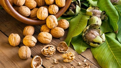 প্রতিদিন খান আখরোট, আর দূরে রাখুন শরীরের হাজারও সমস্যা