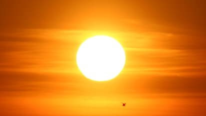 ఆదివారం ఈ పనులు చేస్తే... అష్ట దరిద్రమే!