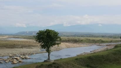 বর্ষায় ডুয়ার্স যাওয়ার কথা ভাবছেন, তাহলে জেনে নিন এই জরুরি তথ্য