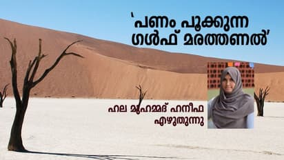 'ഗള്ഫുകാരന്' എന്നതൊരു ജോലിയല്ല, മനുഷ്യരേ...