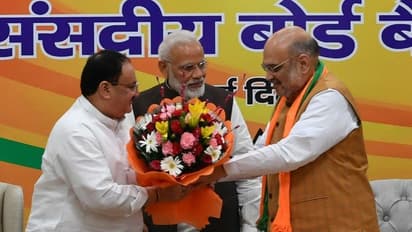 ಜೆ.ಪಿ.ನಡ್ಡಾ ಬಿಜೆಪಿ ಕಾರ್ಯಾಧ್ಯಕ್ಷ, ಪಕ್ಷದಲ್ಲಿ ಹೊಸ ಹುದ್ದೆ ಸೃಷ್ಟಿ!