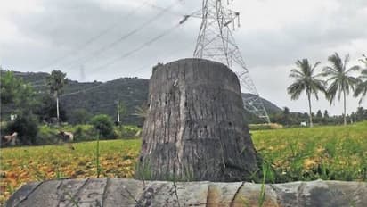 சைலண்ட்டாக அணு அணுவாய் அழிந்து வரும் கிராமம்... அதிரவைக்கும் ரிப்போர்ட் கொடுத்த உலக சுகாதார நிறுவனம்!!