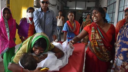 বিহারের পথেই কি কলকাতা, এনকেফেলাইটিসের সঙ্গে লড়ছে ৩ শিশু