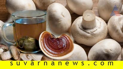 ಆಹಾ! ಗ್ರೀನ್ ಟೀ, ಬ್ಲ್ಯಾಕ್ ಟೀ ಗೊತ್ತು, ಮಶ್ರೂಮ್ ಟೀ....