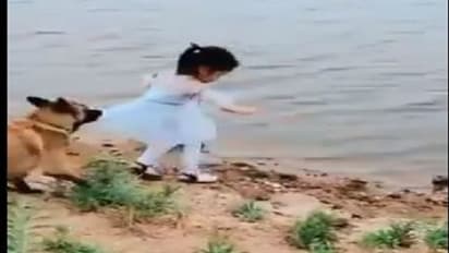 ನೀರಿಗೆ ಬೀಳಲಿದ್ದ ಮಗು ಕಾಪಾಡಿದ ಶ್ವಾನ, ವಿಡಿಯೋ ವೈರಲ್