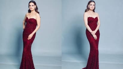 ഗൗണില് തിളങ്ങി ദിയ മിര്സ; ചിത്രങ്ങള് കാണാം