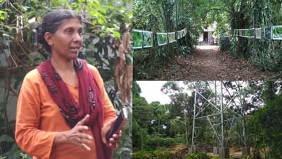 ശാന്തിവനത്തിലെ മരങ്ങളുടെ ചില്ലകള് മുറിക്കാന് എത്തിയതില് പ്രതിഷേധം; മുടി മുറിച്ച് മുഖ്യമന്ത്രിക്ക് അയക്കുമെന്ന് സ്ഥലമുടമ