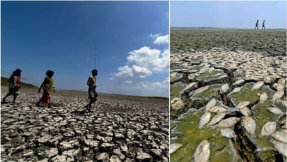 ജലക്ഷാമം രൂക്ഷം; ചെന്നൈയിൽ സ്കൂളുകൾ അടച്ചിടാൻ നിർദേശം