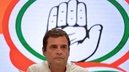 যোগ দিবসে সেনার অপমান! রাহুল গান্ধীর নামে এফআইআর