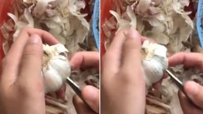 വെളുത്തുള്ളി തൊലിക്കുന്ന ഒരു വീഡിയോ; കണ്ടത് രണ്ട് കോടിയിലധികം പേര്‍!