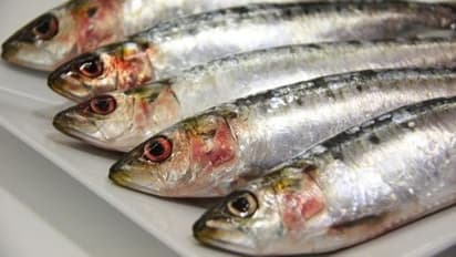 മത്തിയുടെ കുറവ്; ചെറുകിട മത്സ്യത്തൊഴിലാളികൾക്ക് കനത്ത നഷ്ടം