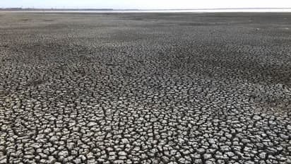 এদেশে গত ১০০ বছরে শুষ্কতম পাঁচ মাসের মধ্যে অন্যতম এই জুন