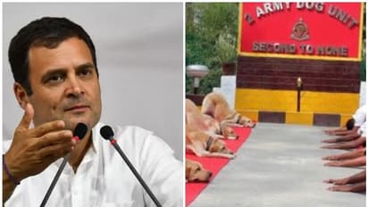 'ഇത് പുതിയ ഇന്ത്യ'; ഡോഗ് യൂണിറ്റിന്റെ യോഗാഭ്യാസത്തിനെതിരെ ഒളിയമ്പുമായി രാഹുല് ഗാന്ധി
