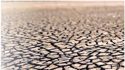 Tamil Nadu seeks special package of Rs 1,000 crore to address water crisis