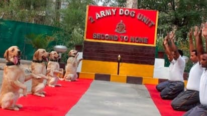 যোগে মোদী, রোগে মরছে শিশু, কটাক্ষ রাহুলের