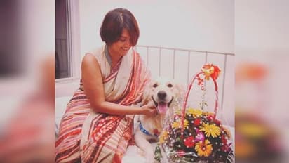 পুজোর মাঝেই রণচণ্ডী স্বস্তিকা, সোশ্যাল মিডিয়ায় কু-প্রস্তাব ঘিরে সরব অভিনেত্রী