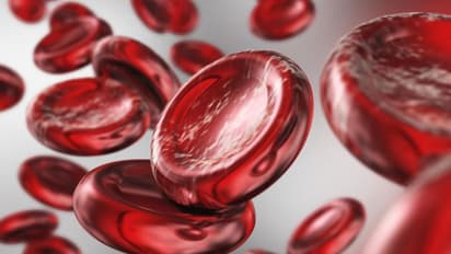 ഹീമോഗ്ലോബിന്റെ അളവ് കൂട്ടാൻ സഹായിക്കുന്ന ആറ് ഭക്ഷണങ്ങൾ