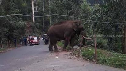 മുണ്ടകൊല്ലിയിൽ കാട്ടാനയുടെ ആക്രമണത്തിൽ ഒരാൾ കൊല്ലപ്പെട്ടു