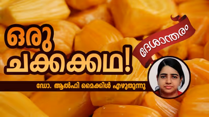 ഈ ചക്കയ്ക്ക് രുചിയേറെ...