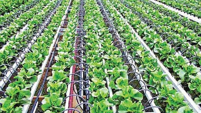 ಎಚ್‌ಡಿಕೆ ಕನಸಿನ ಯೋಜನೆ ಇಸ್ರೇಲ್‌ ಕೃಷಿ ಜಾರಿಗೆ ಸರ್ಕಾರ ಹೈಸ್ಪೀಡ್‌!