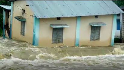 ভেসে যাচ্ছে রাস্তা, বাড়ি, বিপদের প্রহর গুনছে ডুয়ার্স, দেখুন ভিডিও