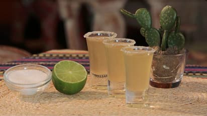 প্রত্যহ খান নুন লেবুর জল, মিলবে অবিস্বাস্য উপকারিতা