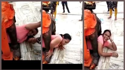 'ആനയുടെ' അടിയിലൂടെ കടക്കാന് ശ്രമം; സ്ത്രീ പെട്ടു - വീഡിയോ