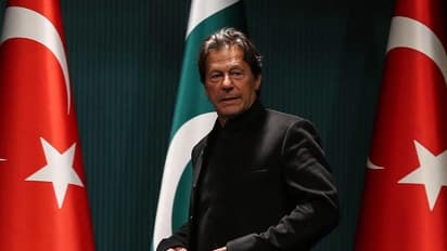 হাফিজ সঈদ-কে জেলে পুরে লাভ হল না, পাকিস্তান সেই ধুসর তালিকাতেই