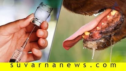 ರಾಜ್ಯದಲ್ಲಿ ಆ್ಯಂಟಿ ರೇಬಿಸ್‌ ಮದ್ದು ಕೊರತೆ! ಪಕ್ಕದ ರಾಜ್ಯದಿಂದ ಪೂರೈಕೆ