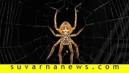 ನಲ್ಲೀಲಿ ಹನಿ ನೀರು, ಪರಿಸರಕ್ಕೂ ಹಾನಿ, ಮನೆಗೂ ಅಶುಭ