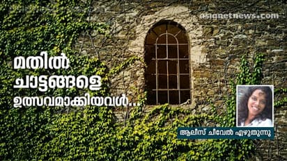 ജീവിതം സുന്ദരമാക്കുന്ന ചാട്ടങ്ങൾ... സൗഹൃദങ്ങൾ...