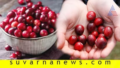 ತ್ವಚೆಗೆ ಹೊಸ ಜೀವ ಕೊಡುತ್ತೆ ಕ್ರೇನ್ ಬೆರ್ರಿ !