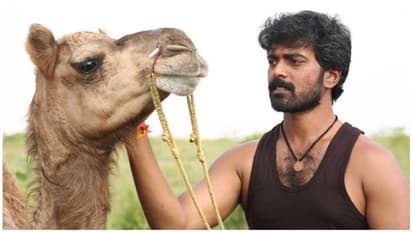 ’பக்ரீத்’ படத்தின் டீசர், பாடல்கள் முடக்கம் - ஸ்டார் இந்தியா (விஜய் டிவி) நிறுவனம் மீது வழக்கு தொடர்ந்த விஷால் மேனேஜர்...