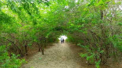 কলকাতার কাছেই ছোট্ট দ্বীপ! সাগর-জঙ্গল একসঙ্গে উপভোগ করতে খরচ পড়বে কত