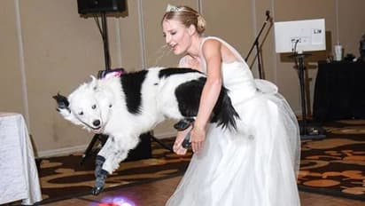 വിവാഹ ദിവസം വധുവിനൊപ്പം ചുവടുവച്ച് 'ഹീറോ'; വീഡിയോ