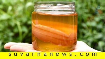 2000 ವರ್ಷ ಇತಿಹಾಸವಿರುವ ಕೊಂಬುಚ ಟೀ ಈಗ ಟ್ರೆಂಡೀ!